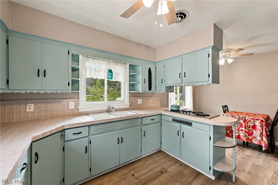 690 Autumn Drive Amherst OH 44001