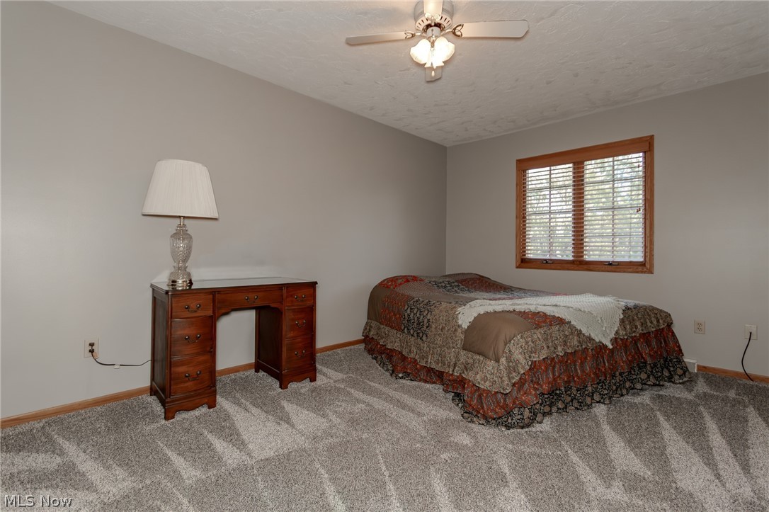 3195 Narrows Road Perry OH 44081