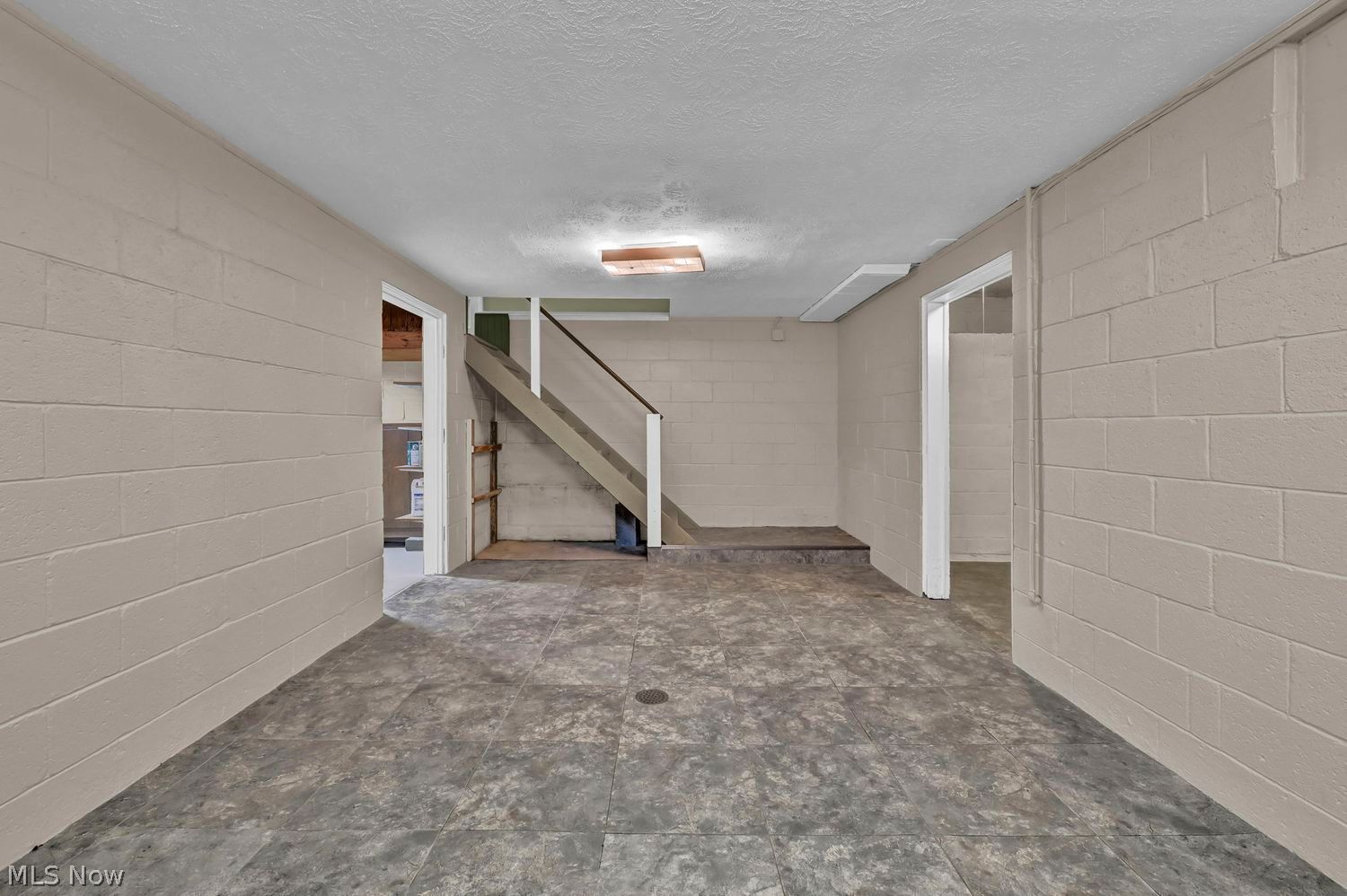 1144 Willow Street Grafton OH 44044