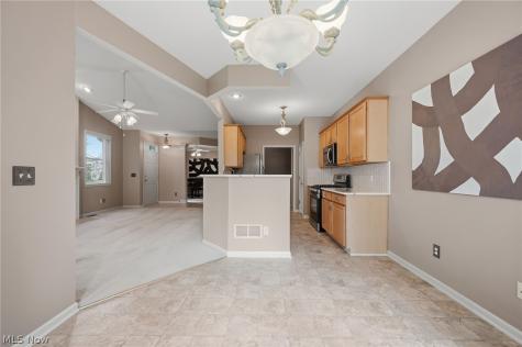 9848 Country Club Circle Twinsburg OH 44087