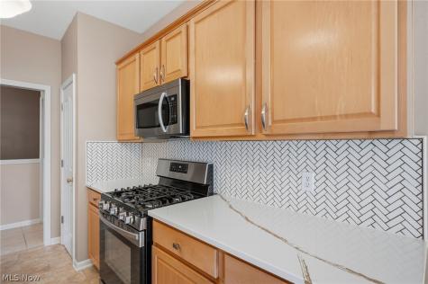 9848 Country Club Circle Twinsburg OH 44087