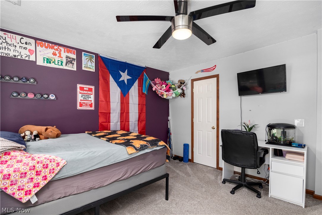 224 Sleepy Hollow Drive Amherst OH 44001