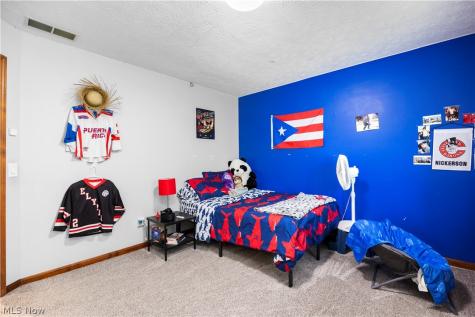 224 Sleepy Hollow Drive Amherst OH 44001