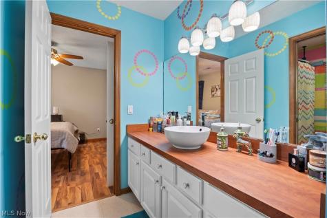 224 Sleepy Hollow Drive Amherst OH 44001