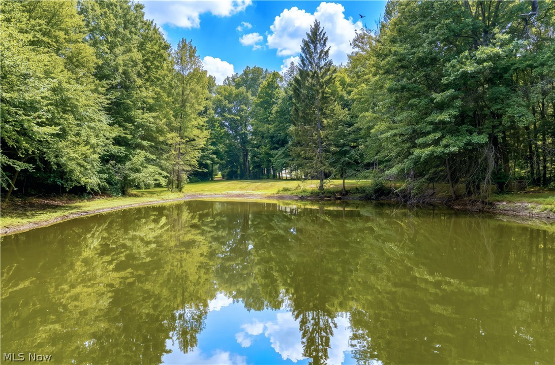16415 Messenger Road Chagrin Falls OH 44023