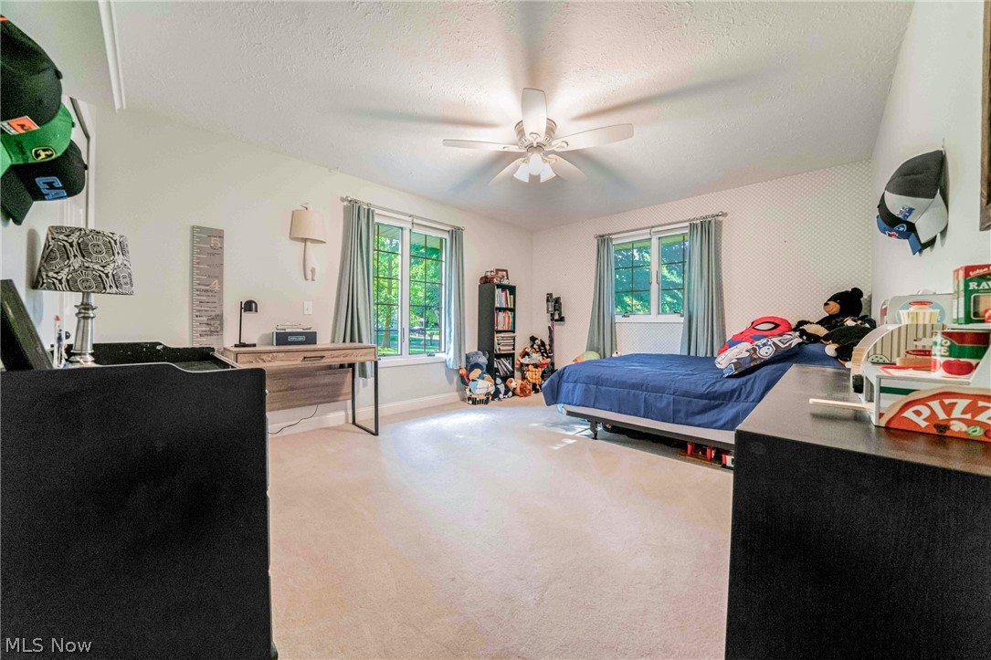 4351 Stoney Ridge Road Avon OH 44011