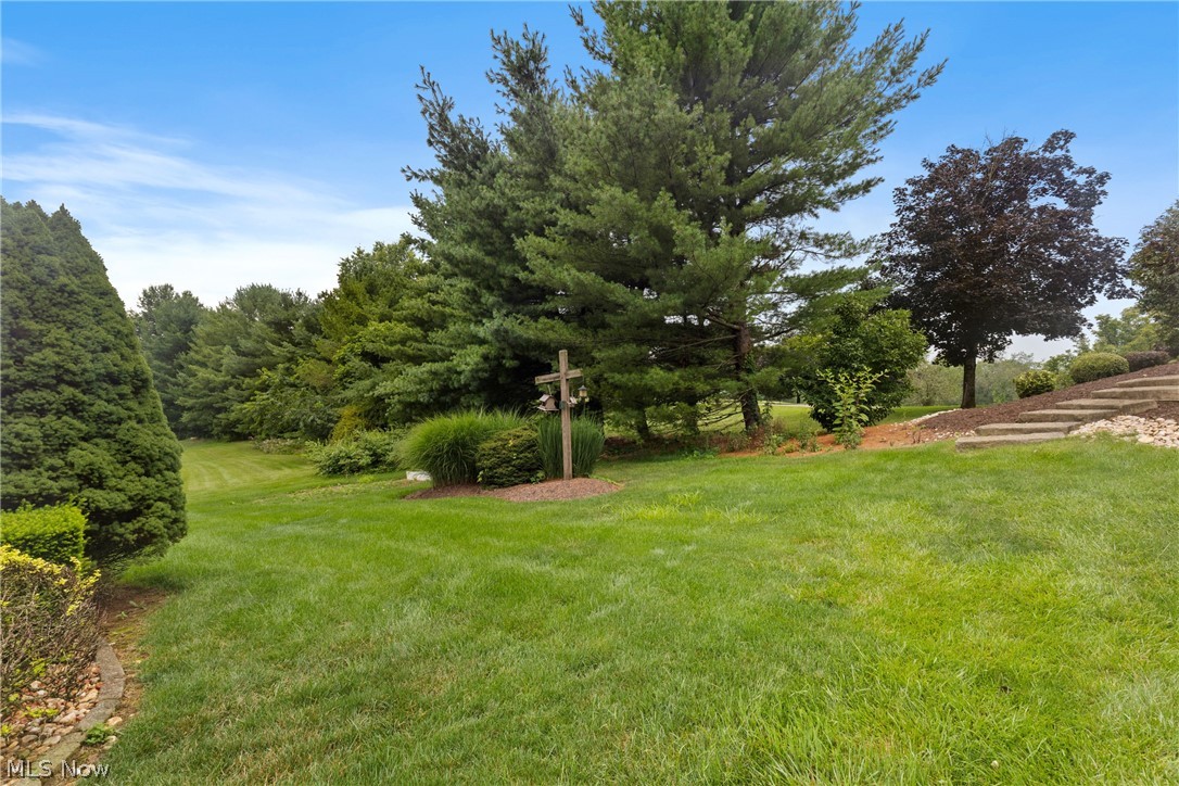 323 Harmony Drive Wintersville OH 43953