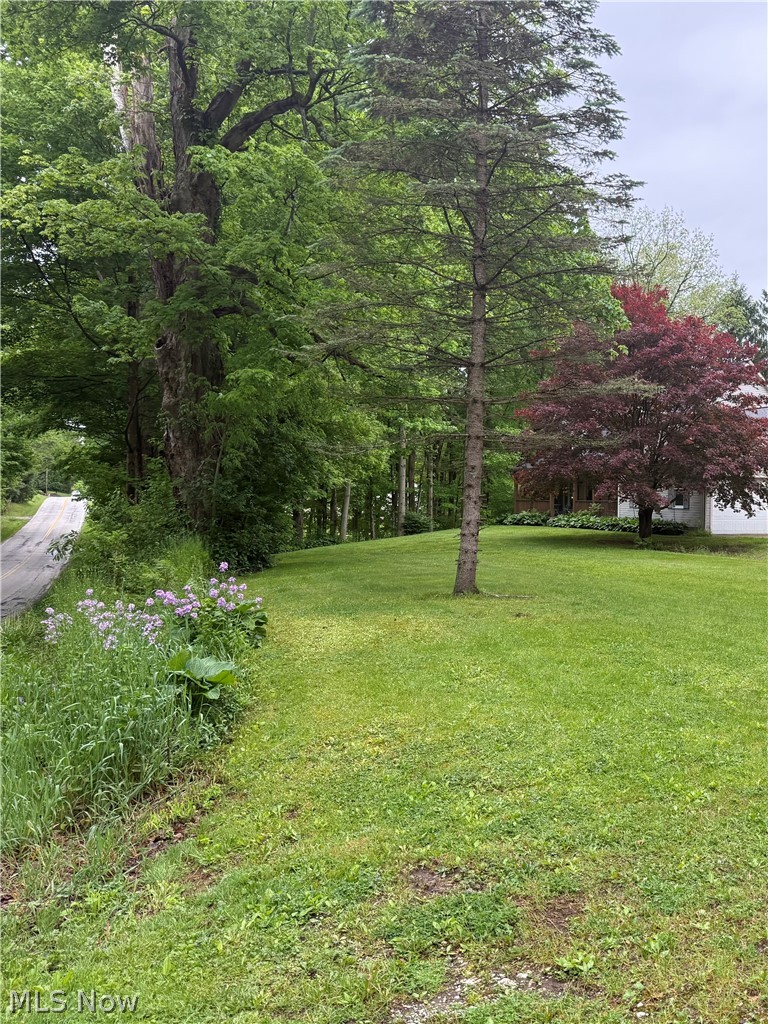 11165 Peck Road Mantua OH 44255