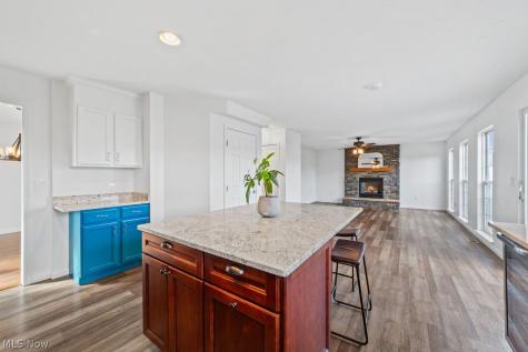 817 Horseshoe Way Avon Lake OH 44012