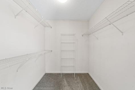 817 Horseshoe Way Avon Lake OH 44012