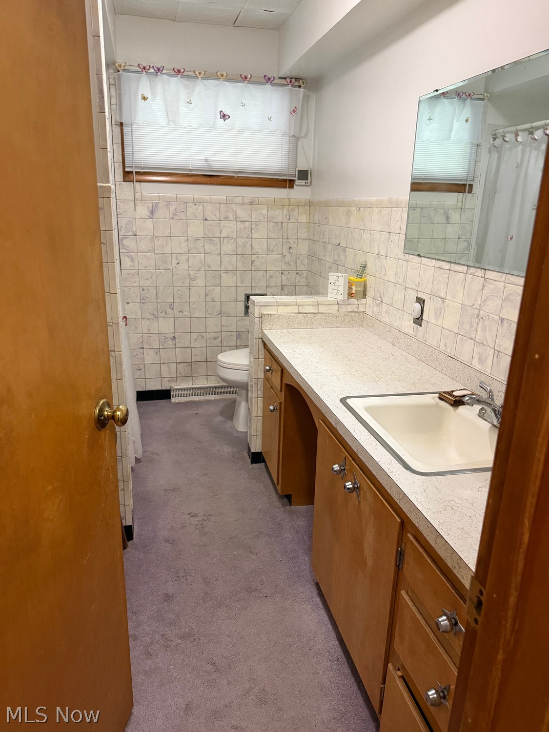442 Milan Avenue Amherst OH 44001