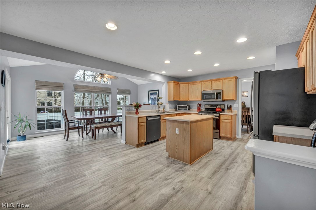 4195 Jenee Drive Lorain OH 44053