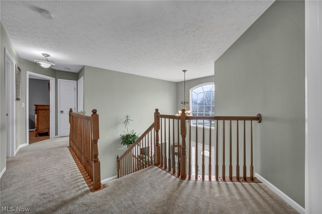 4195 Jenee Drive Lorain OH 44053