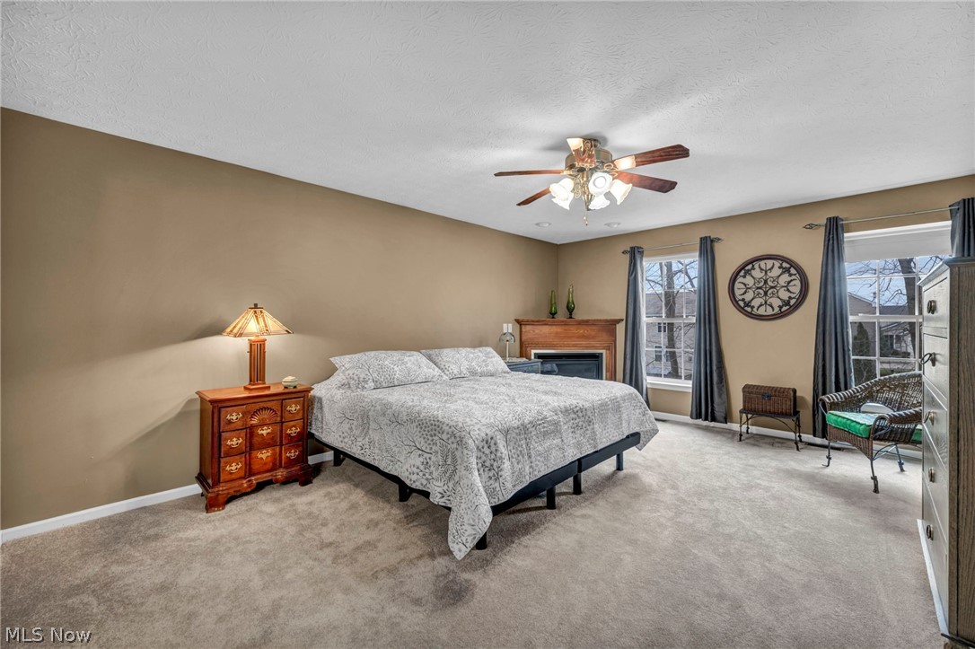 4195 Jenee Drive Lorain OH 44053