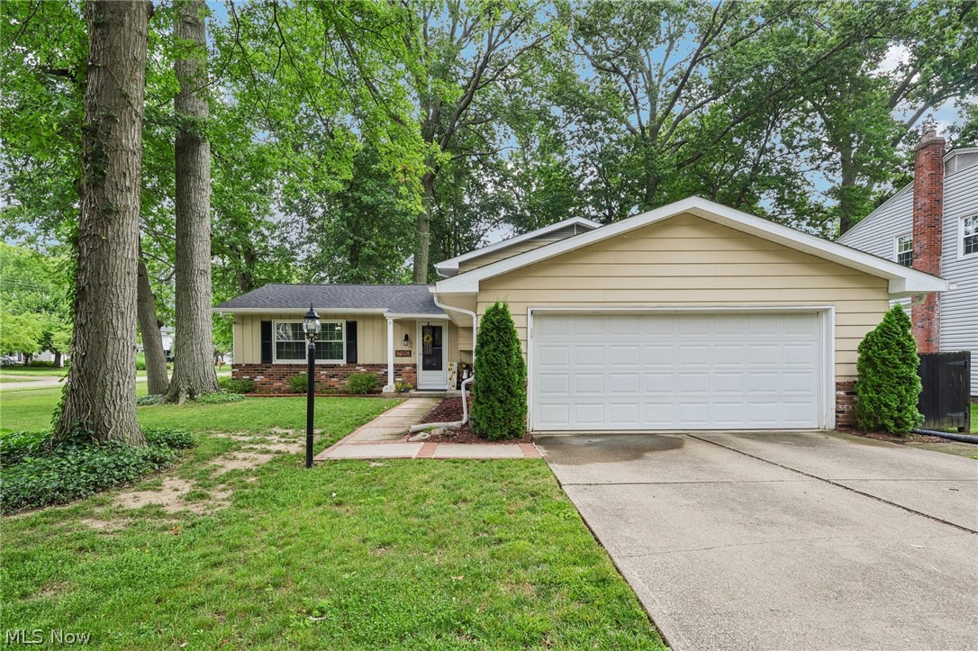 7195 Taft Street Mentor OH 44060