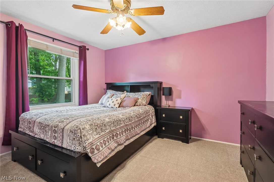 7195 Taft Street Mentor OH 44060