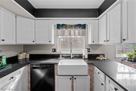 8343 Paddock Court Mentor OH 44060