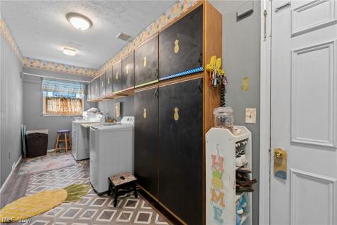 8343 Paddock Court Mentor OH 44060