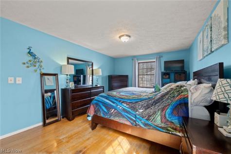 8343 Paddock Court Mentor OH 44060