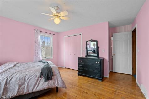 8343 Paddock Court Mentor OH 44060