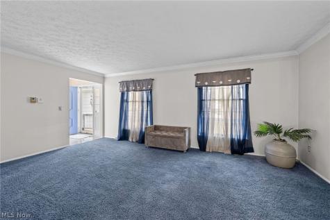 8343 Paddock Court Mentor OH 44060