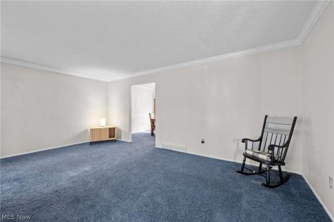 8343 Paddock Court Mentor OH 44060
