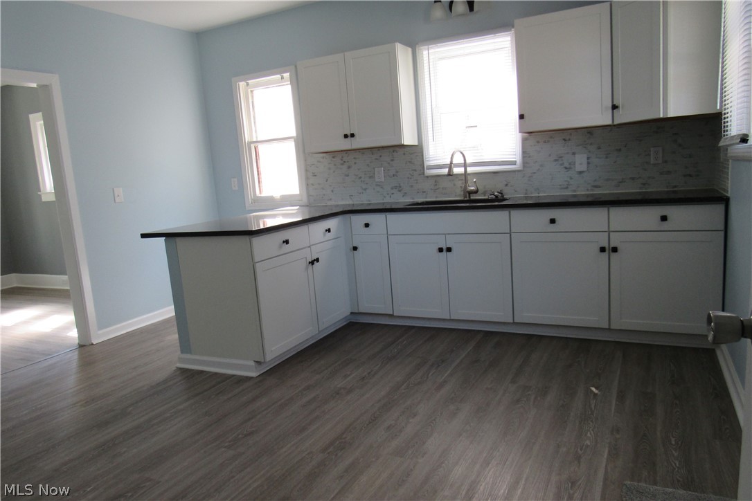 1817 E 46th Street Ashtabula OH 44004