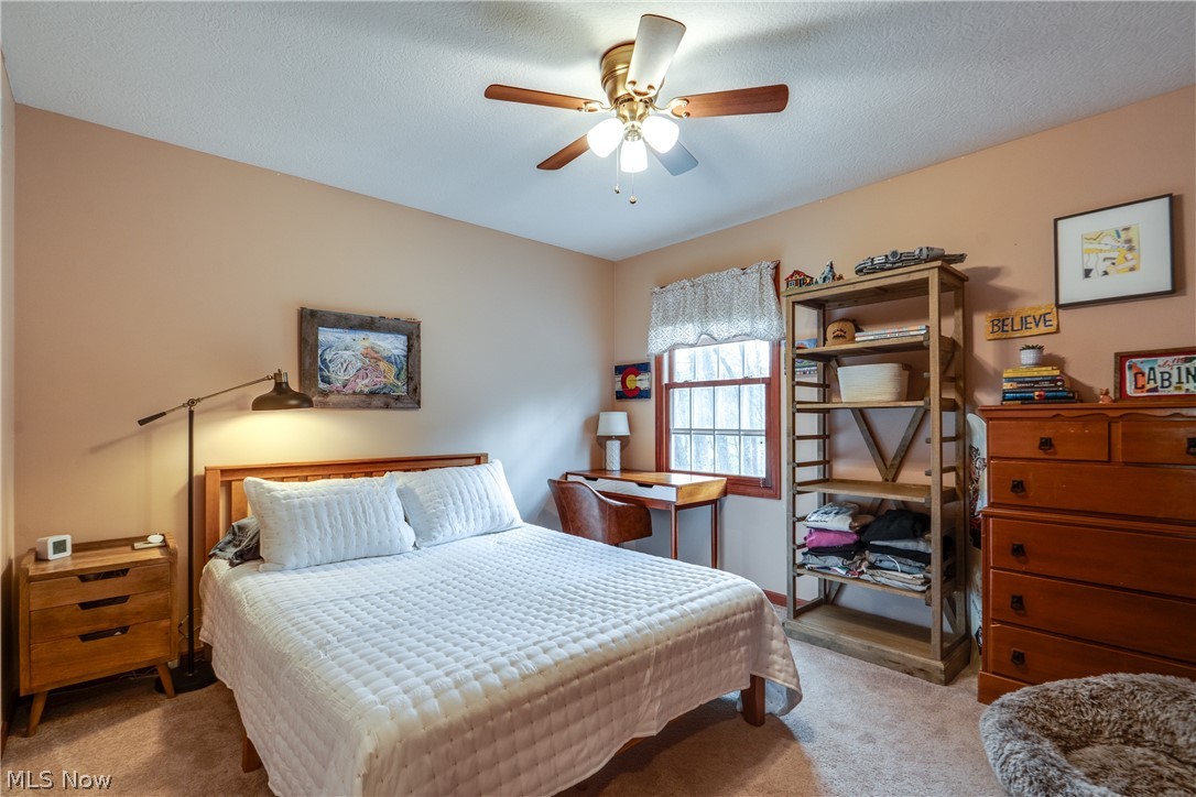 5137 Plain Center Avenue NE Canton OH 44714