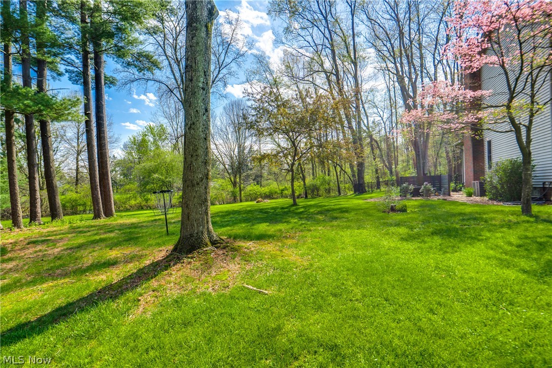 5137 Plain Center Avenue NE Canton OH 44714