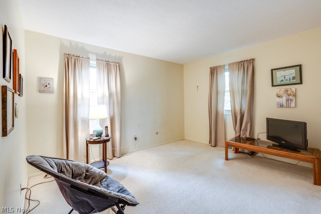 6100 Paisley Drive North Olmsted OH 44070