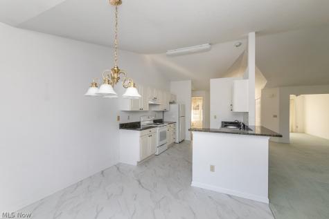 12160 Nathaniel Lane Twinsburg OH 44087