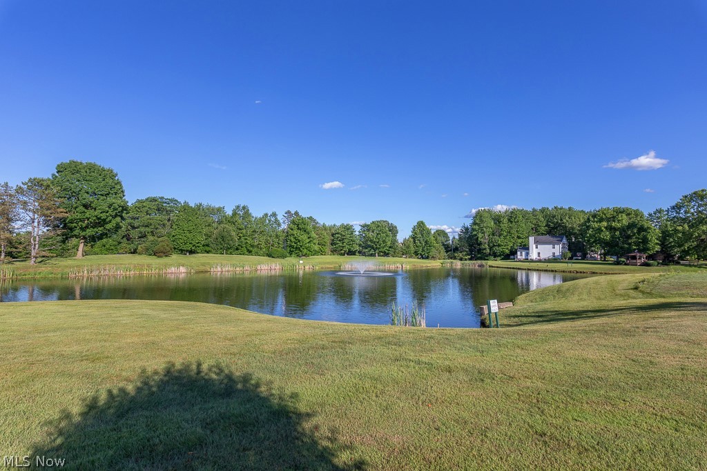 12160 Nathaniel Lane Twinsburg OH 44087