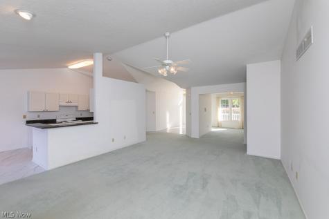 12160 Nathaniel Lane Twinsburg OH 44087