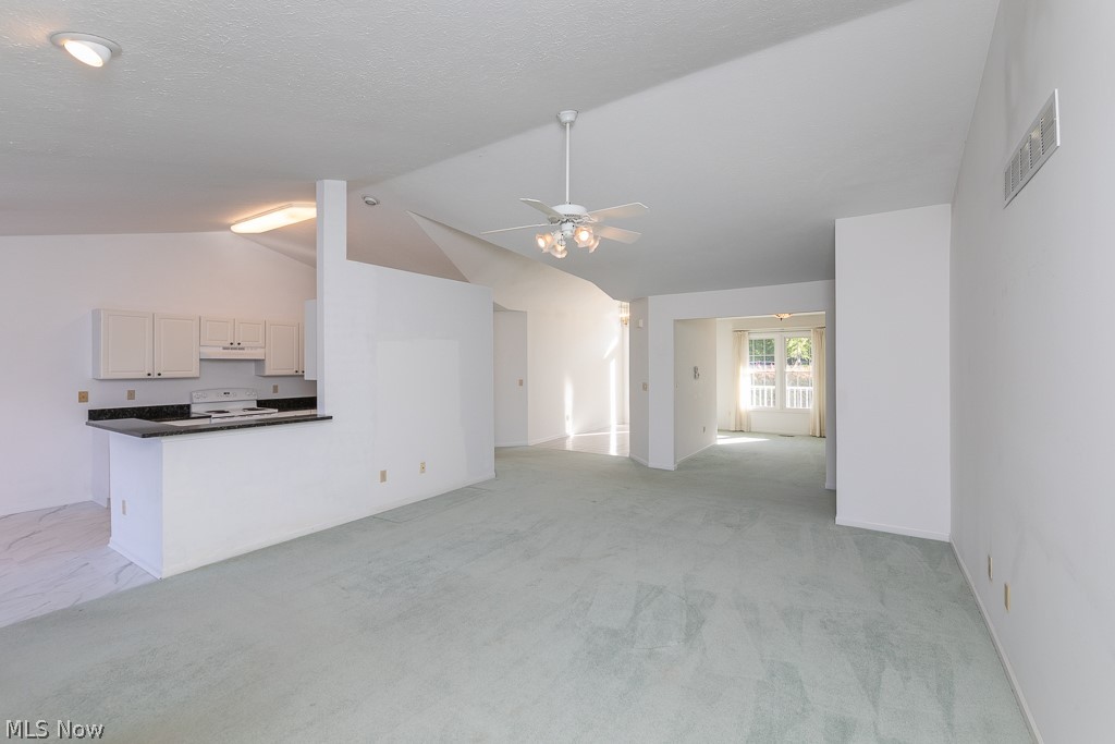 12160 Nathaniel Lane Twinsburg OH 44087