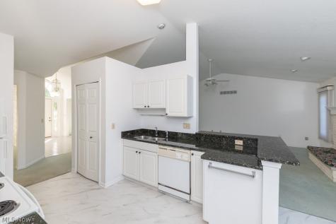12160 Nathaniel Lane Twinsburg OH 44087