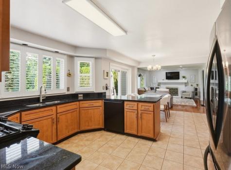 1658 Chestnut Trail Drive Twinsburg OH 44087