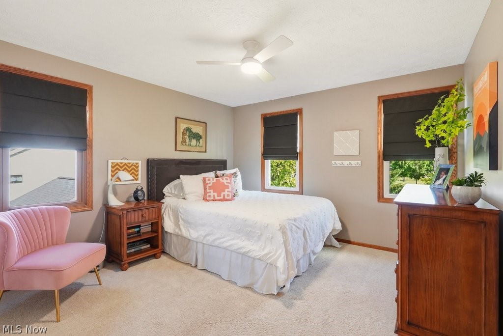 1658 Chestnut Trail Drive Twinsburg OH 44087