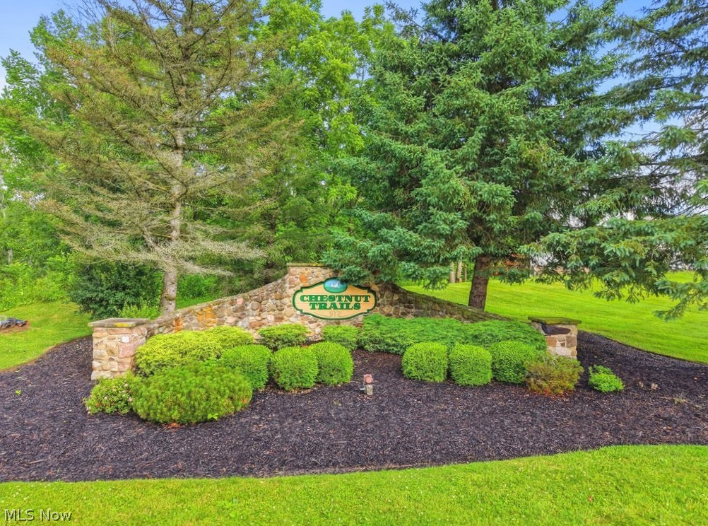 1658 Chestnut Trail Drive Twinsburg OH 44087