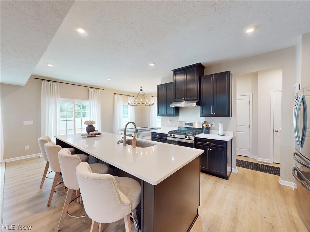 3126 Azalea Ridge Drive Perry OH 44081