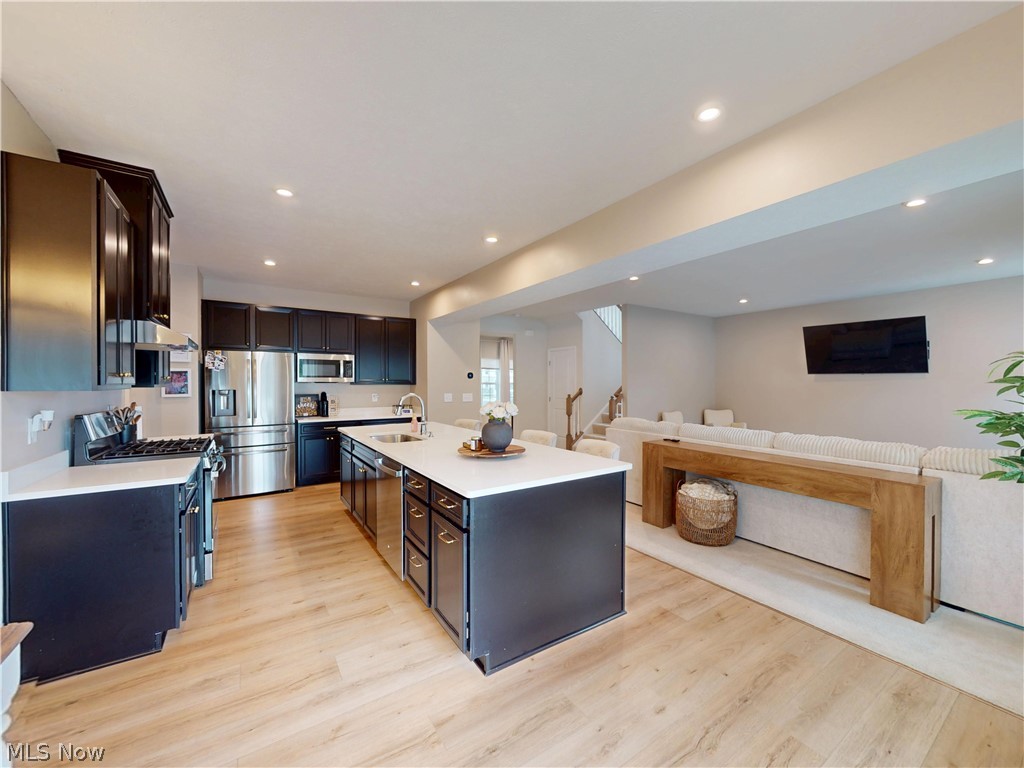 3126 Azalea Ridge Drive Perry OH 44081