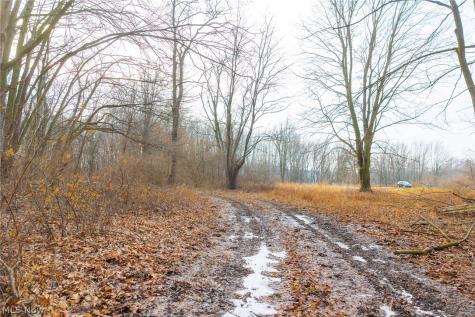 7389 Doylestown Road Sterling OH 44276