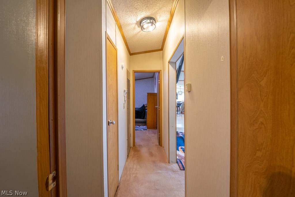 112 Evergreen Lane Apple Creek OH 44606