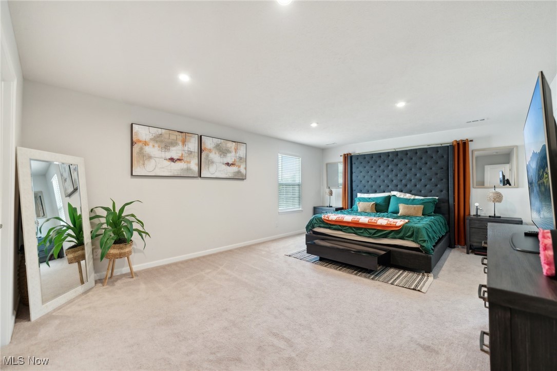 1659 Flannery Court Streetsboro OH 44241