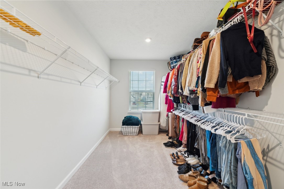 1659 Flannery Court Streetsboro OH 44241