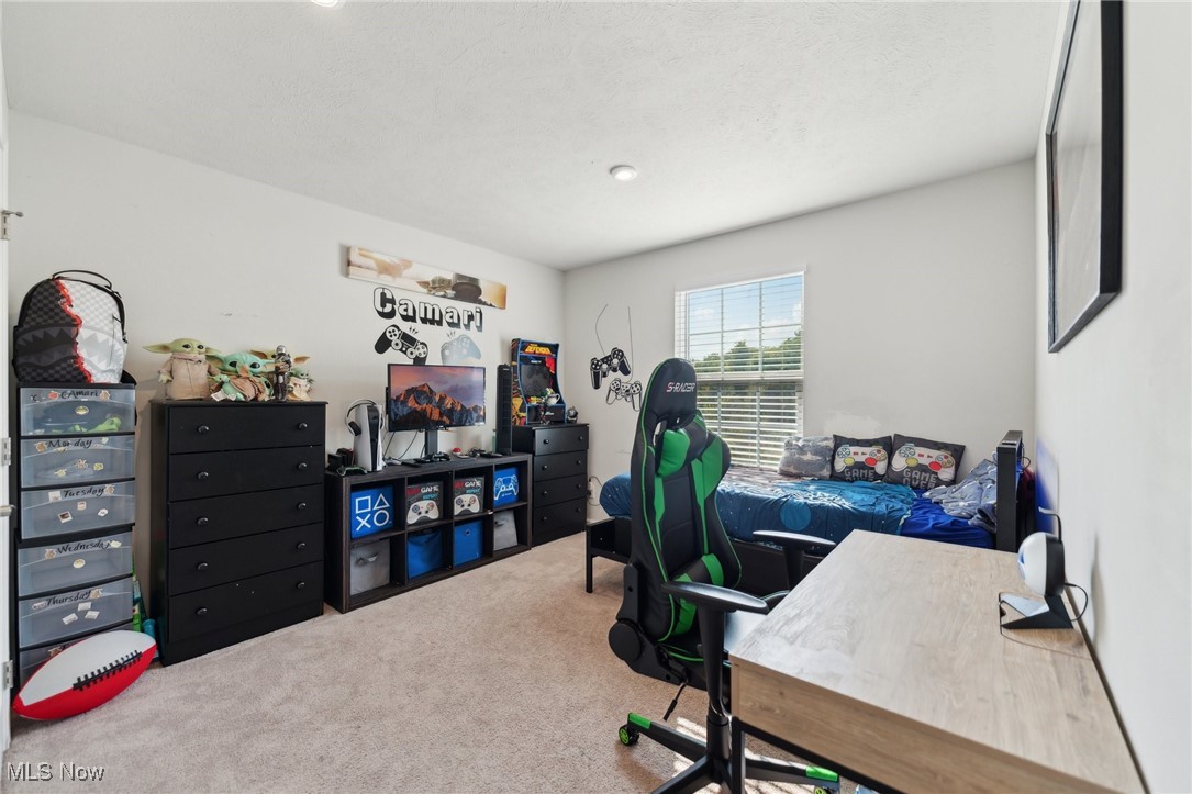 1659 Flannery Court Streetsboro OH 44241