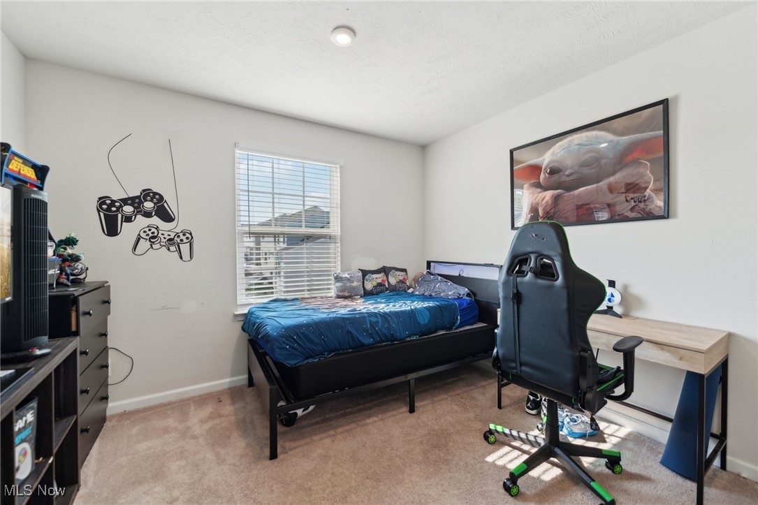 1659 Flannery Court Streetsboro OH 44241