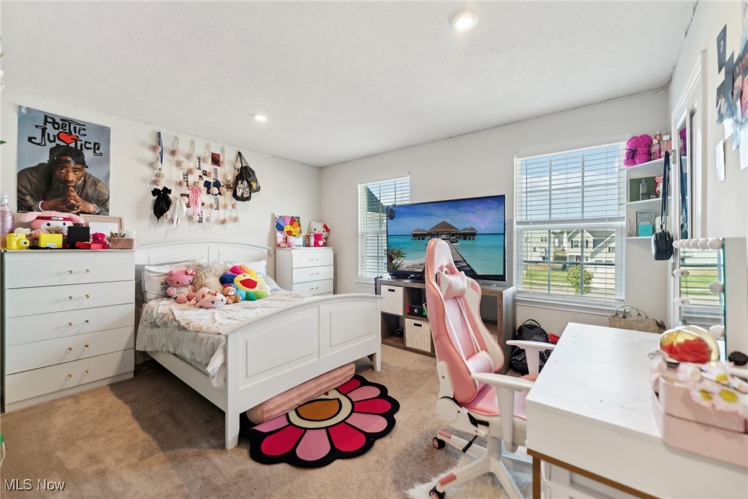 1659 Flannery Court Streetsboro OH 44241