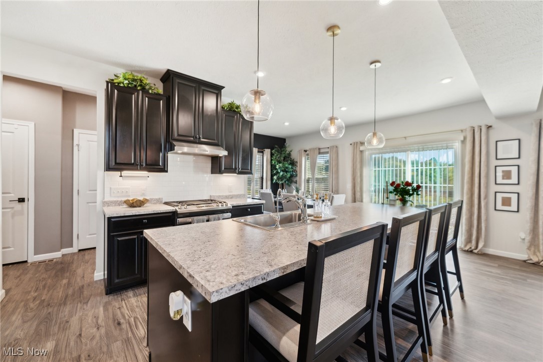 1659 Flannery Court Streetsboro OH 44241