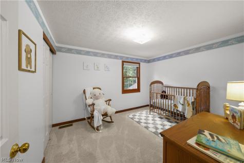 280 Beech Court Aurora OH 44202