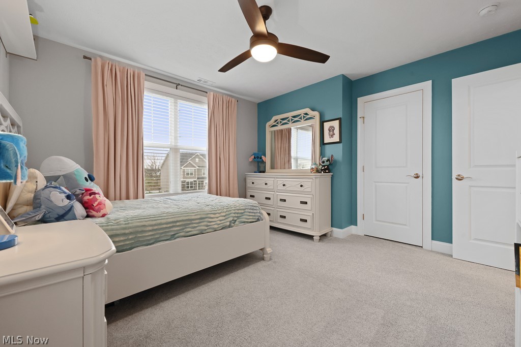 1316 Skyland Falls Boulevard Hinckley OH 44233